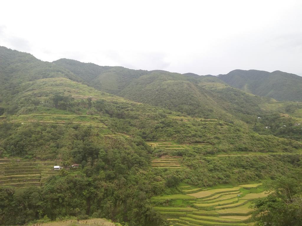Banaue Sunrise Guest House Buitenkant foto